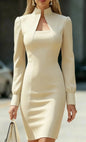 Elegant Long Sleeve Bodycon Dress Chic Fall/Winter Office & Party Midi Dress for Women - Prolificstore