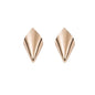 1 Pairs Shoe Repair Accessories Anti Wear Shoe Clips for Ladies Metal High Heels Tip Cap Women Shoe Pointed Protector Elegant